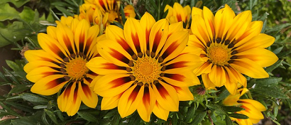 تثلیث الاهی