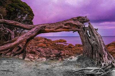 نگرش کتاب‌مقدس نسبت به طلاق